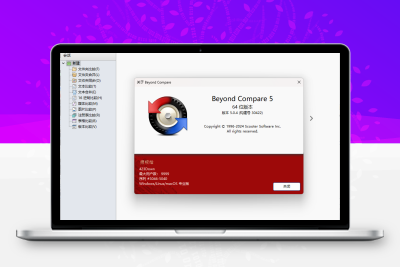 Beyond Compare v5.1.0.31016-小扎仙森