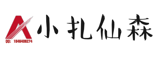小扎仙森-让每一行代码都发光。